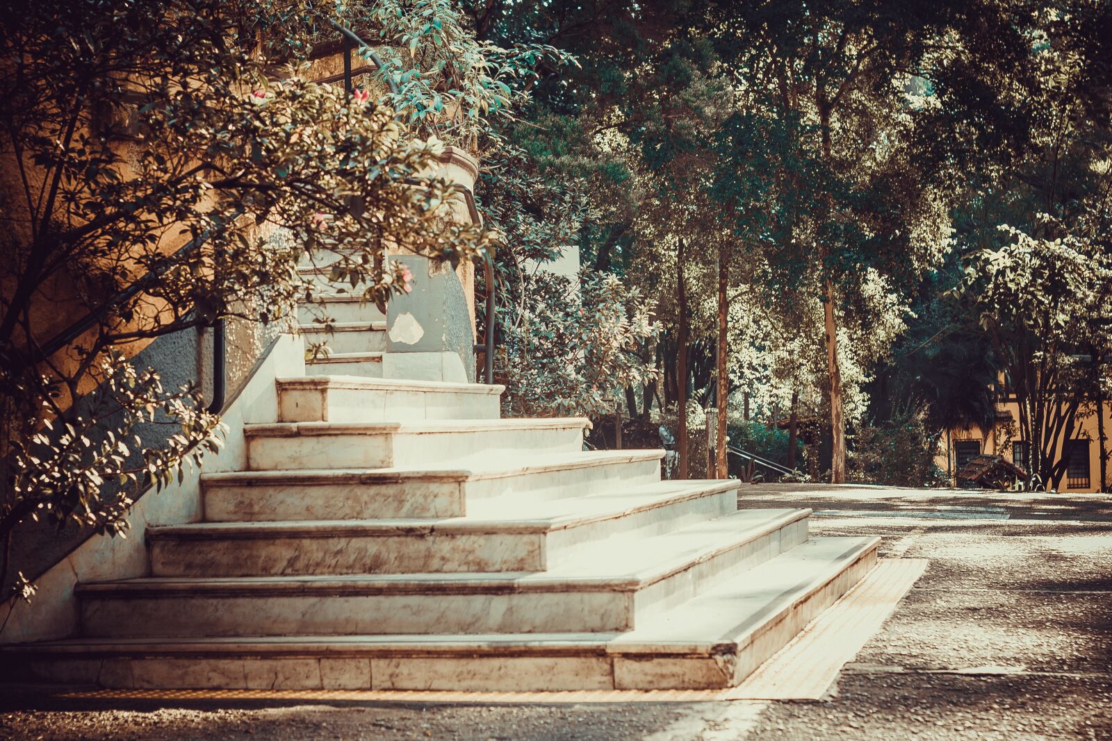 Canon EOS 750D (EOS Rebel T6i / EOS Kiss X8i) sample photo. Ladder, angle, architecture photography