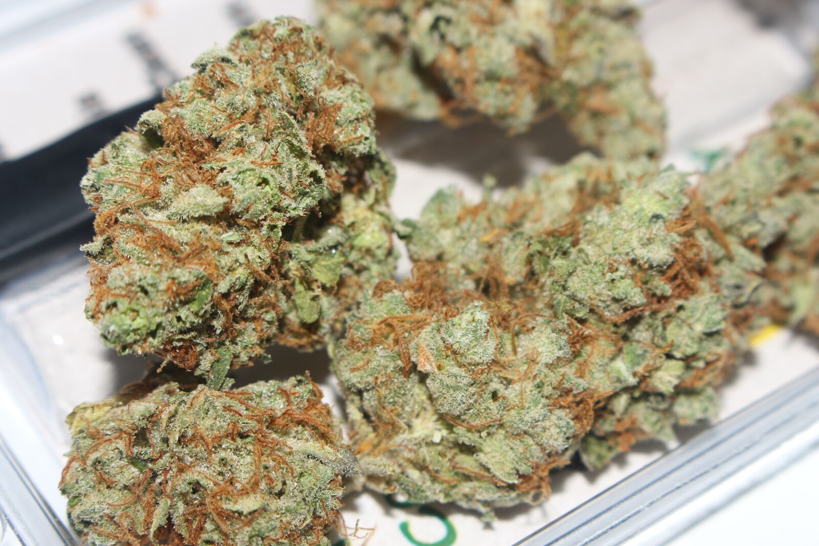 Canon EOS 700D (EOS Rebel T5i / EOS Kiss X7i) sample photo. Weed, cannabis, marijuana photography
