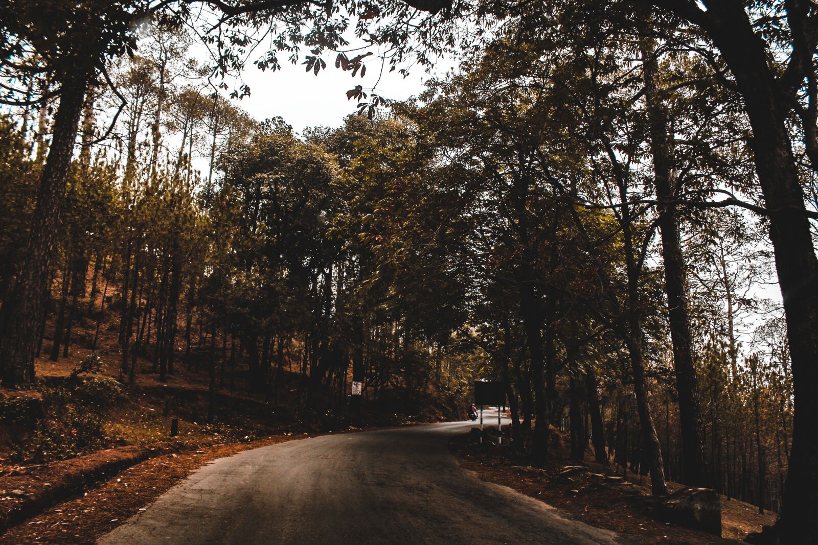 Canon EOS 700D (EOS Rebel T5i / EOS Kiss X7i) sample photo. Road, forest, nature photography