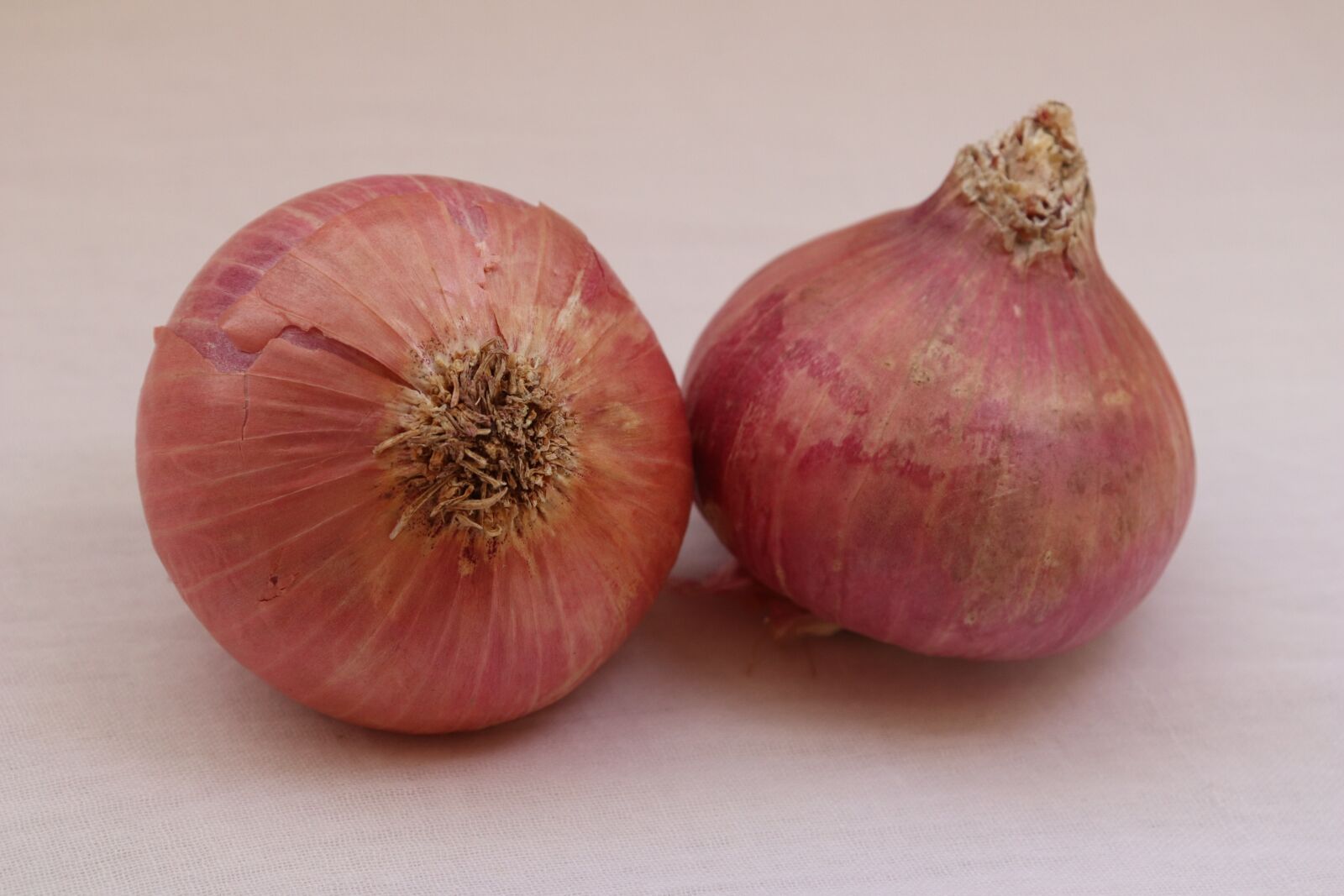 Canon EOS 77D (EOS 9000D / EOS 770D) sample photo. Onion, vegetable, vegetables photography
