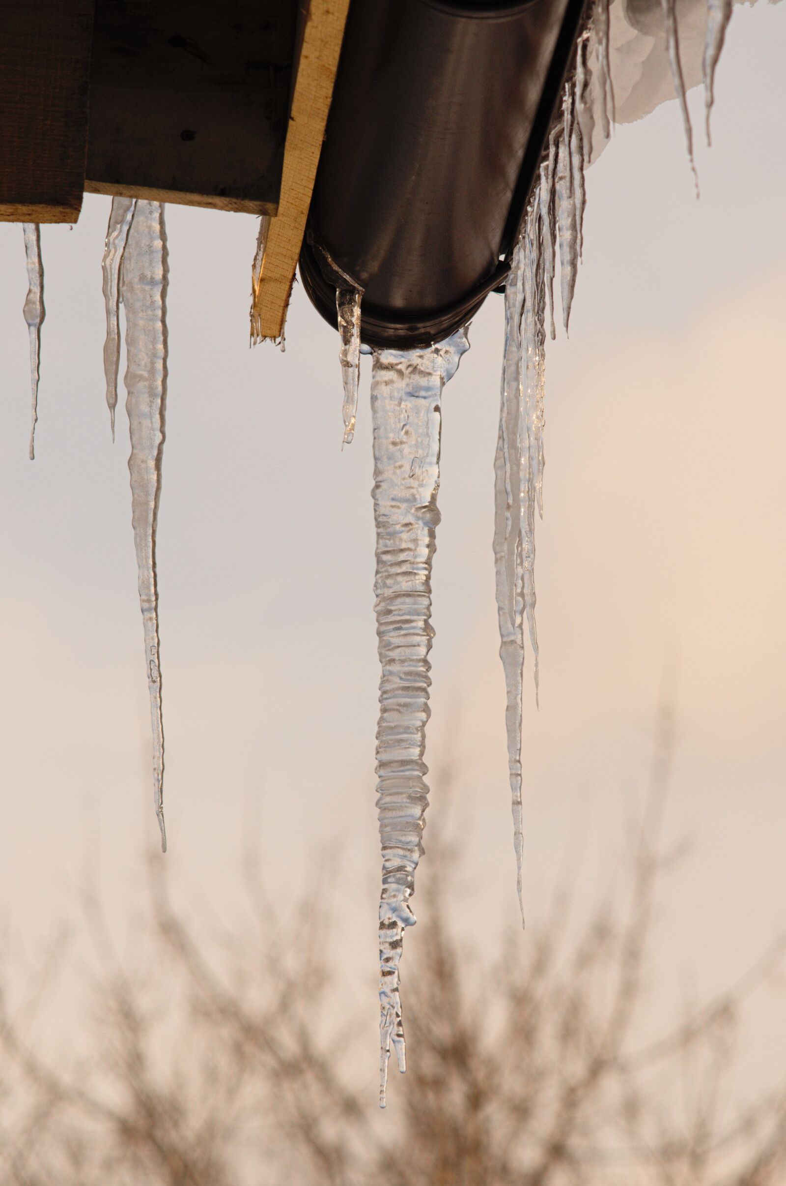 Nikon D300S sample photo. Winter, icicle, frost photography