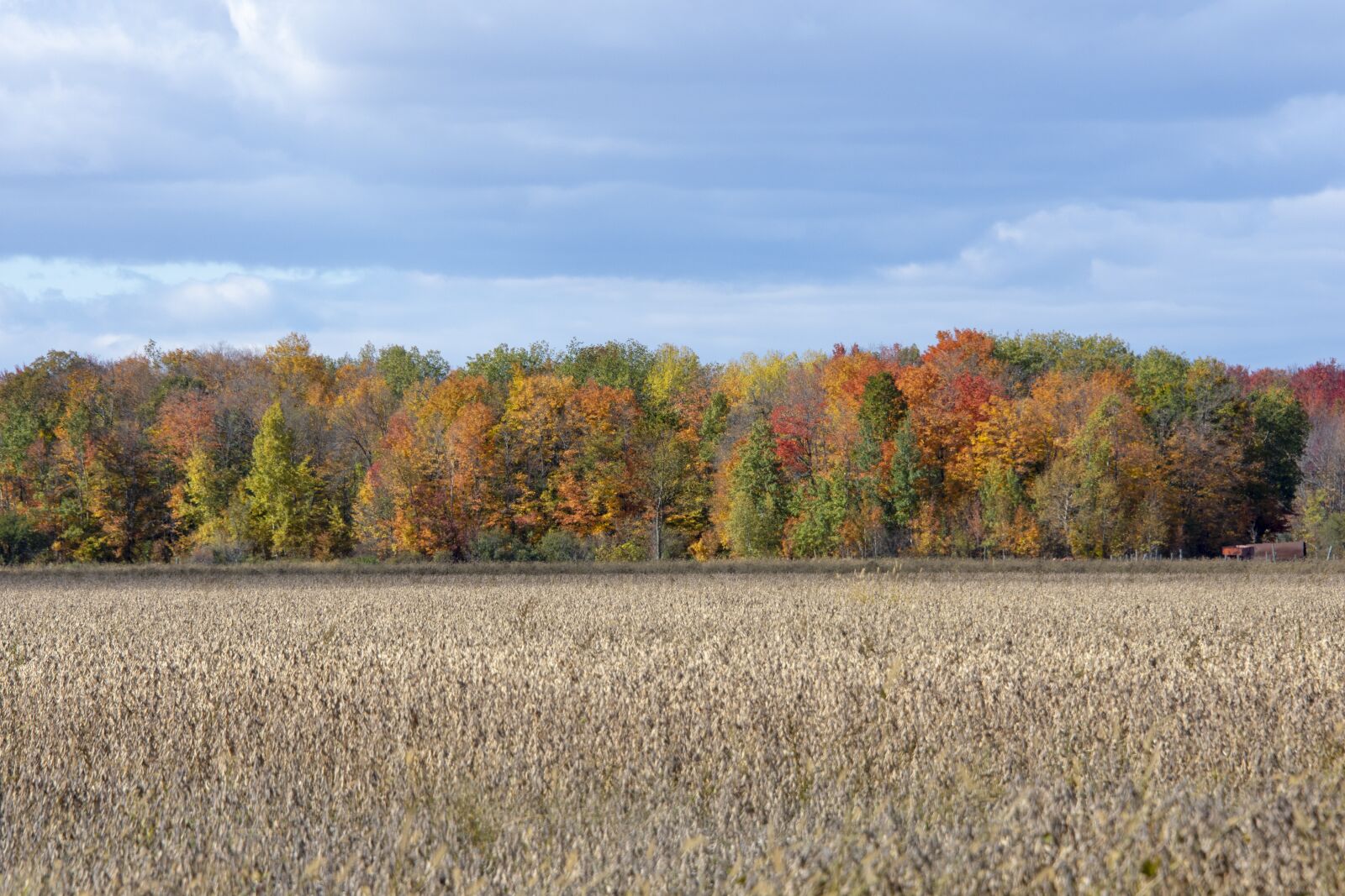 Nikon D7200 sample photo. Fall, colors, nature photography
