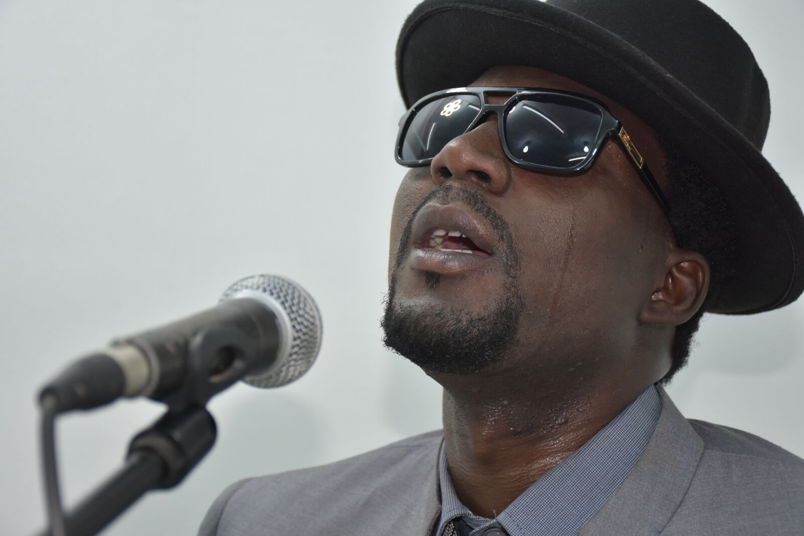 Nikon D7200 sample photo. Singing, festival, microphone photography