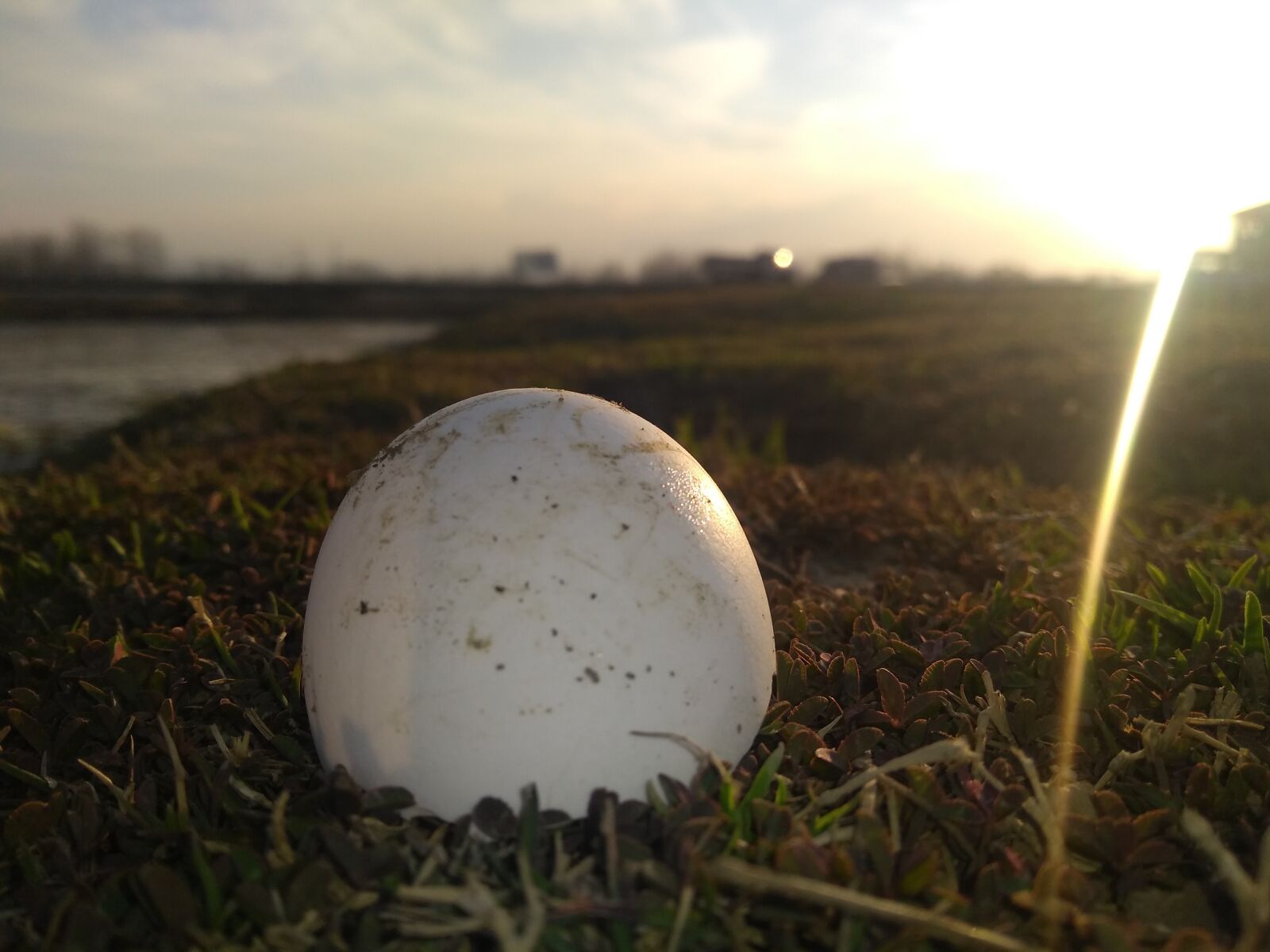 Motorola Moto G (5S) Plus sample photo. Egg, white, sunlight photography
