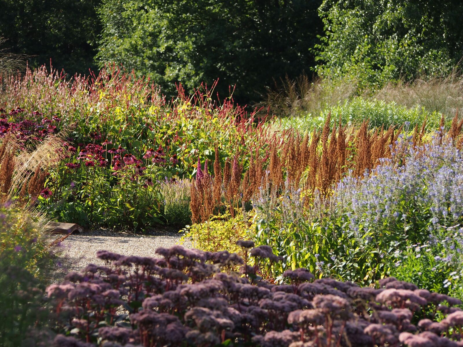 Olympus PEN E-PM1 sample photo. Pensthorpe, garden, natural planting photography