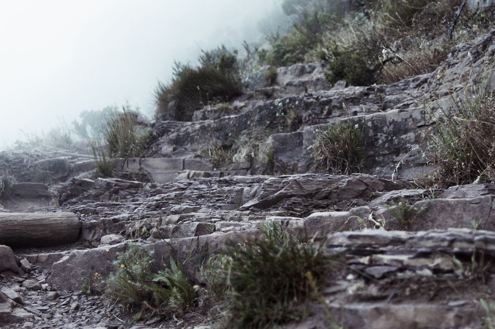 Nikon D40 sample photo. Mountain, trail, clouds photography