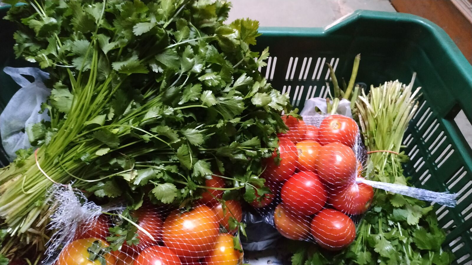 Xiaomi Redmi Note 6 Pro sample photo. Vegetable, green veg, green photography