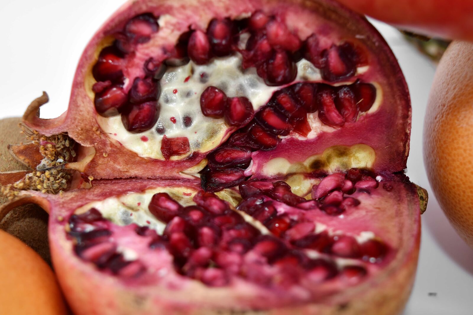 Nikon D5500 sample photo. Cross section, kernel, macro photography