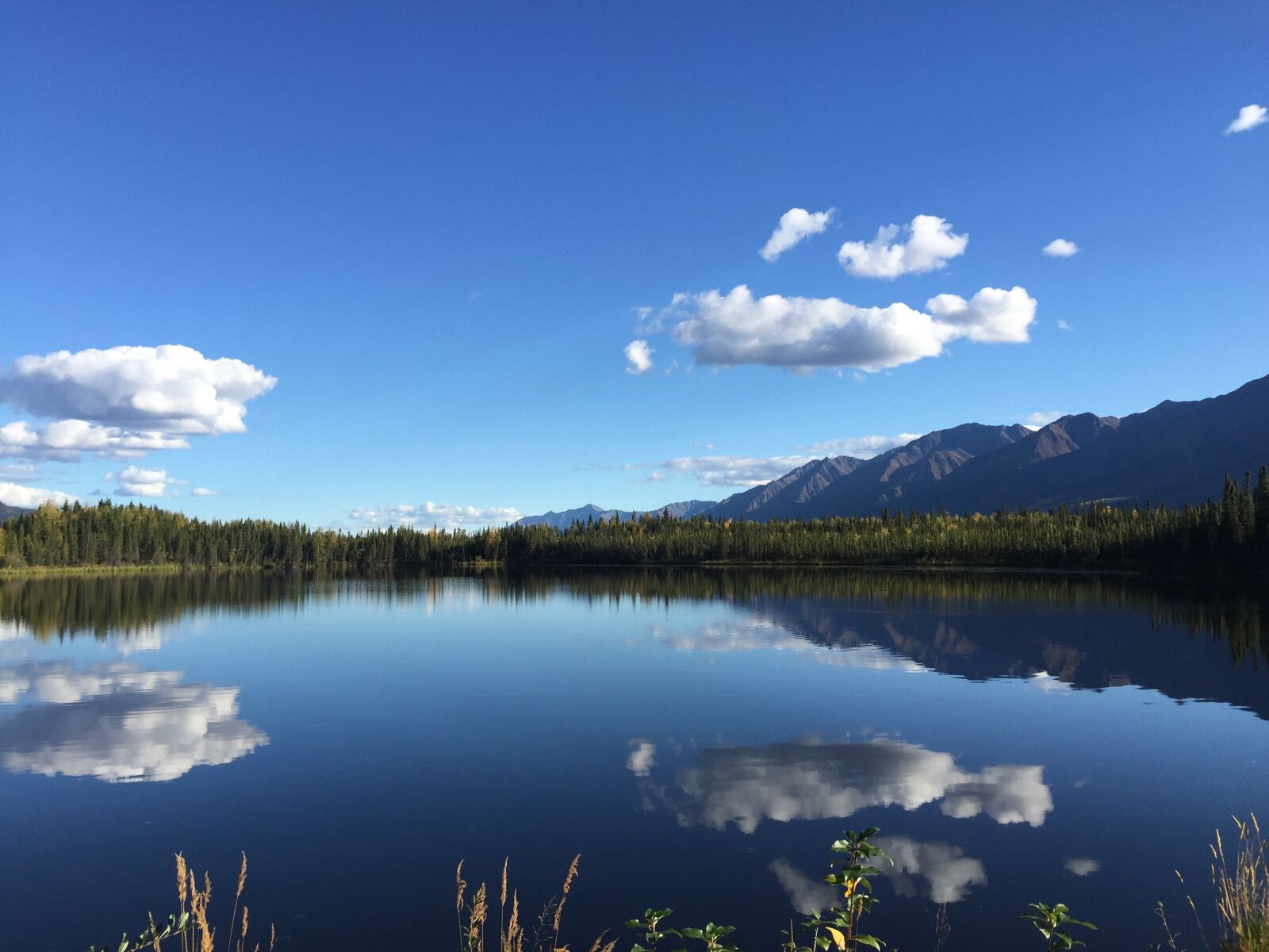 Apple iPhone 6 sample photo. Yukon territory, nature, lake photography