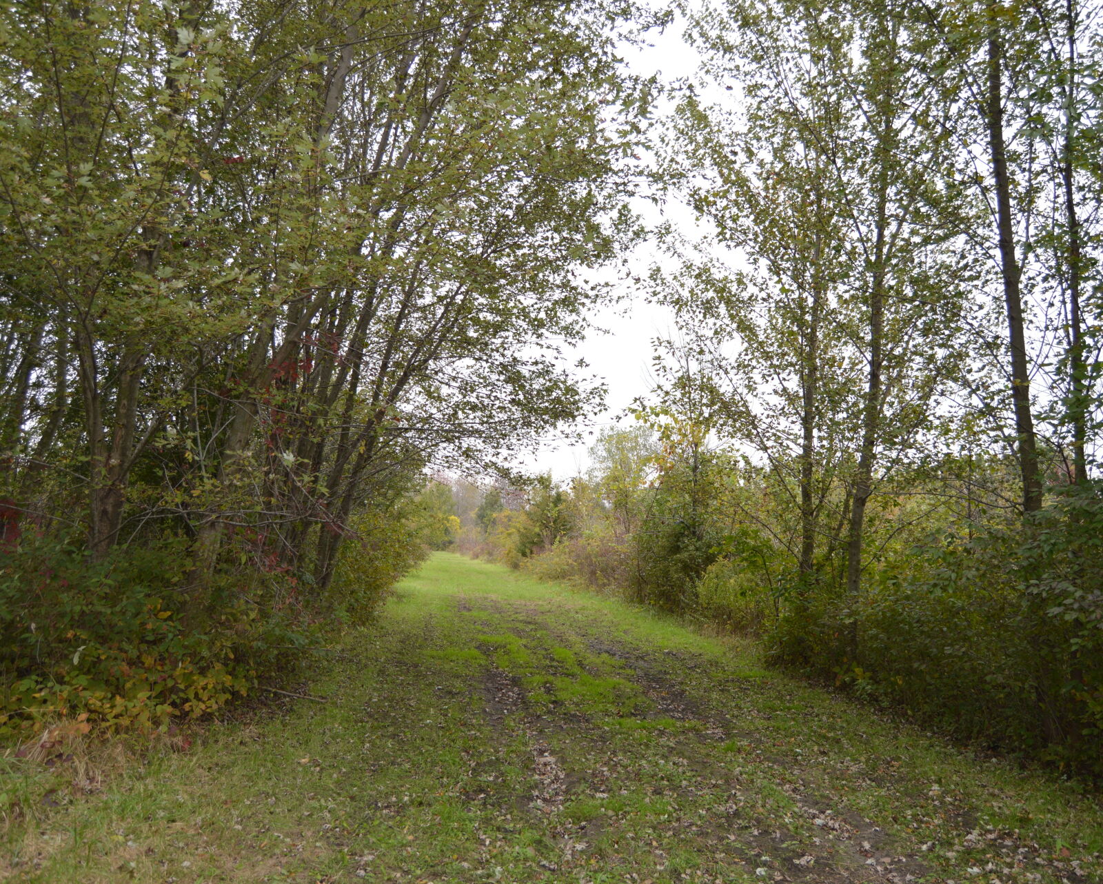 Nikon D3200 sample photo