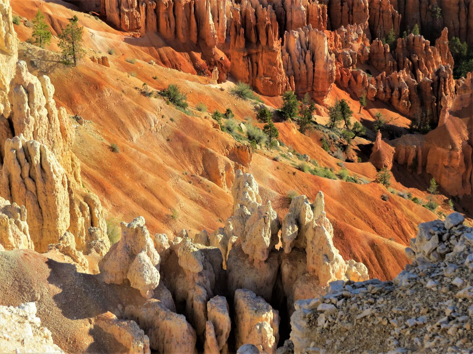 Canon PowerShot SX50 HS sample photo. Bryce canyon, red sandstone photography