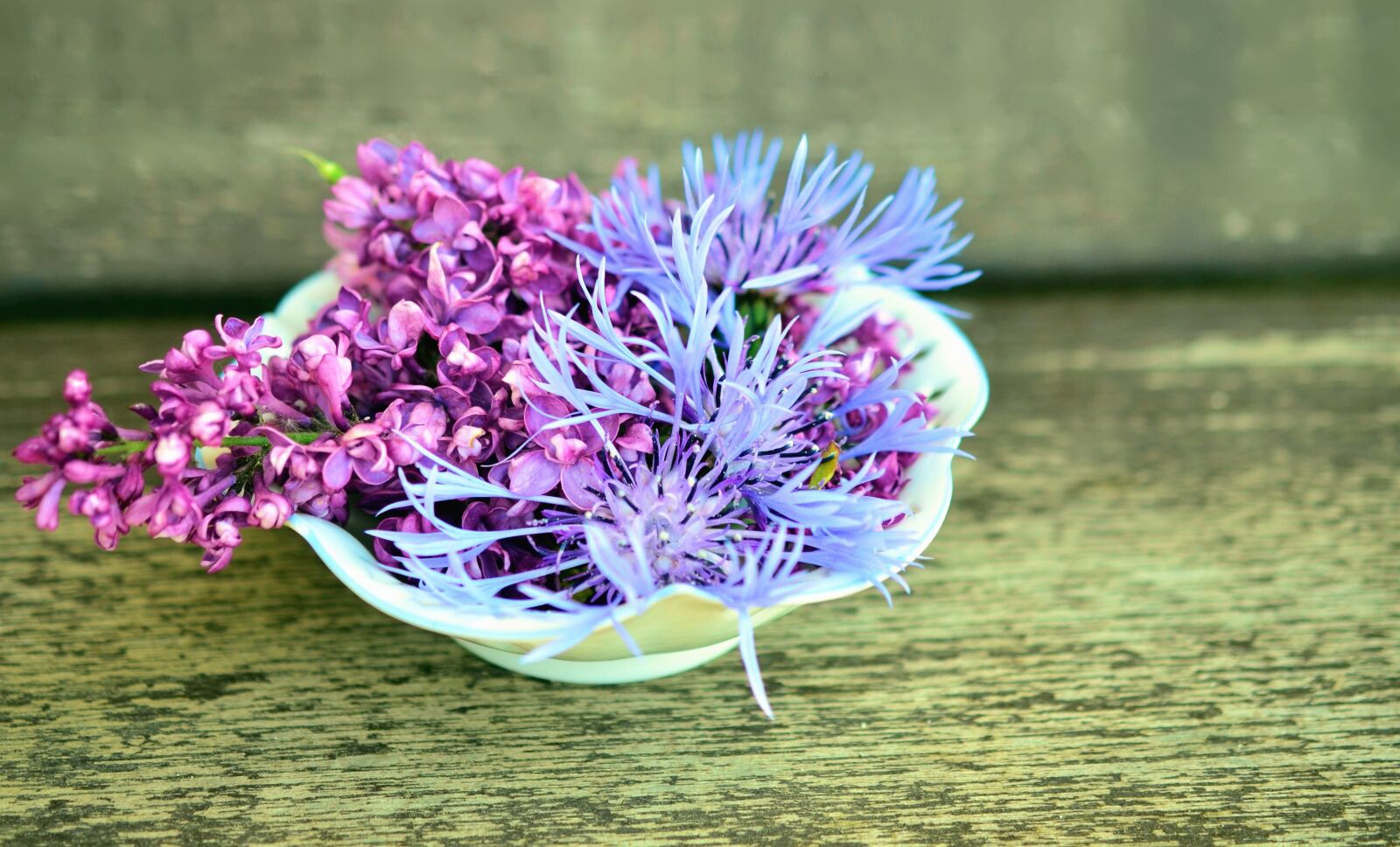 Nikon D5100 sample photo. Flower, bowl, wooden, table photography