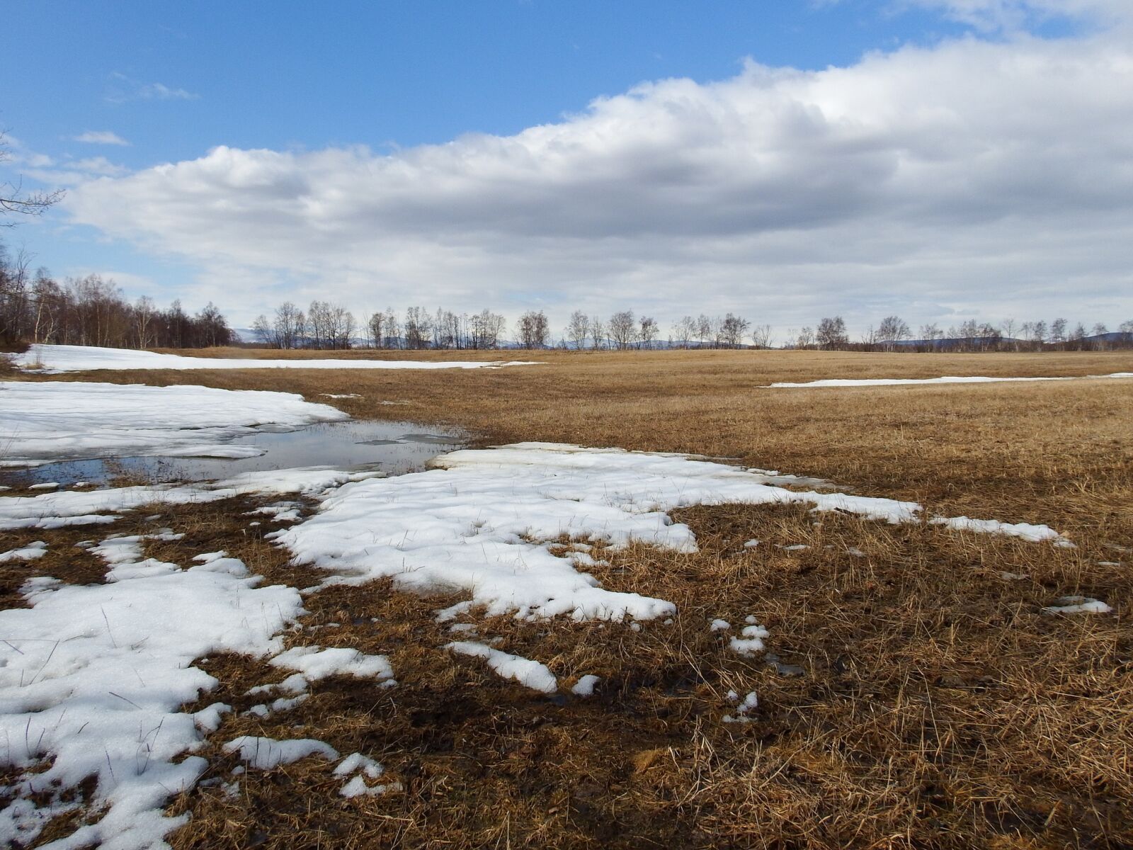 Fujifilm FinePix S1 sample photo. Fields, spring, plowing photography