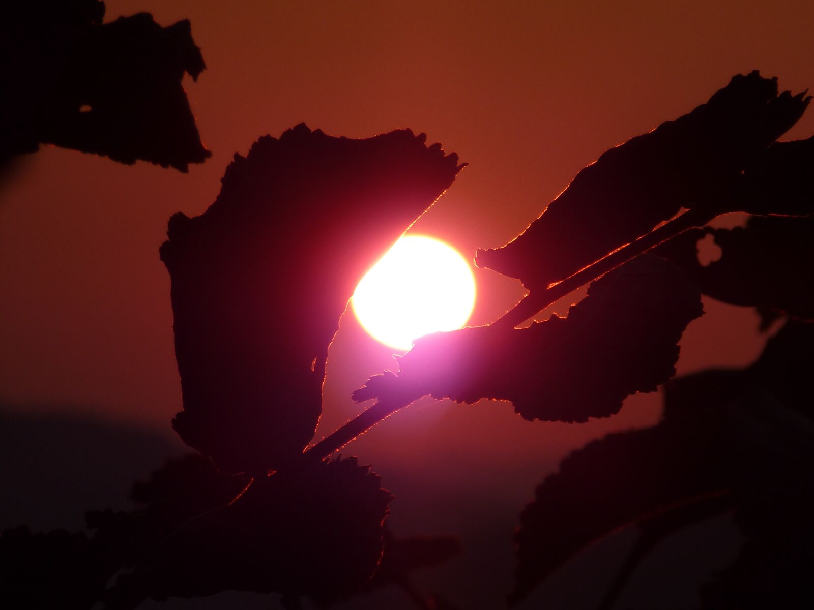 Panasonic Lumix DMC-ZS15 (Lumix DMC-TZ25) sample photo. Sunset, sky, evening sky photography