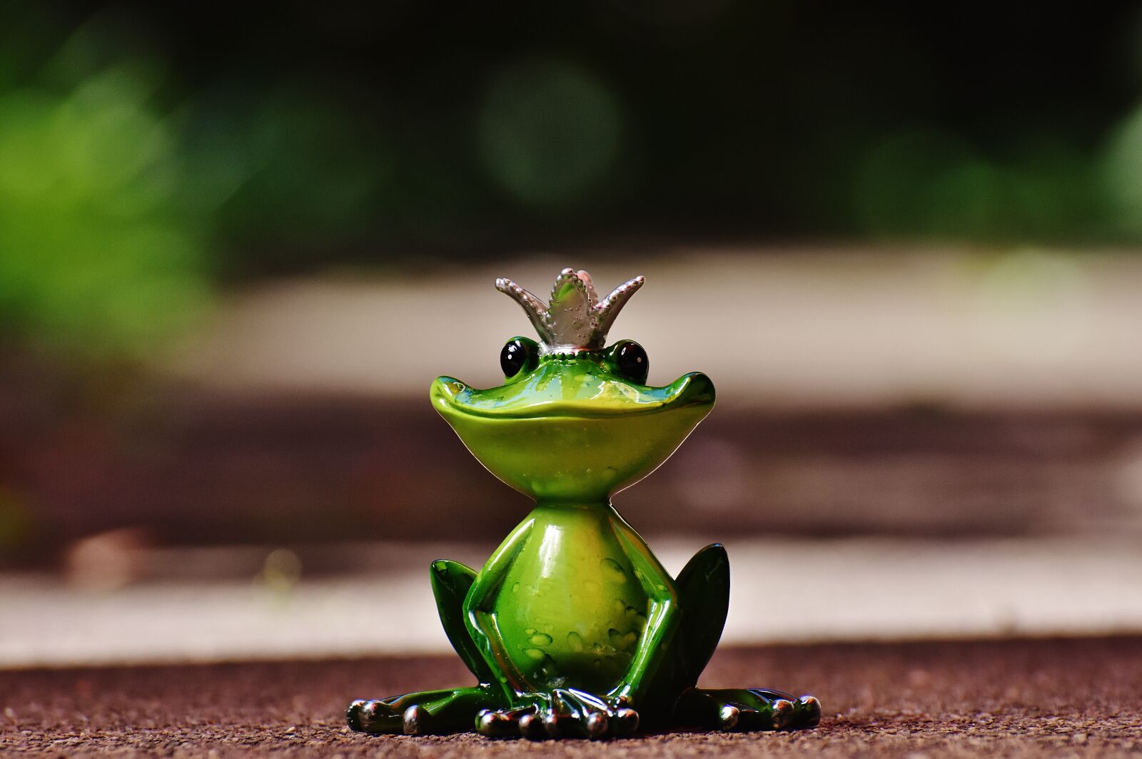 Nikon D7200 sample photo. Frog, frog prince, crown photography