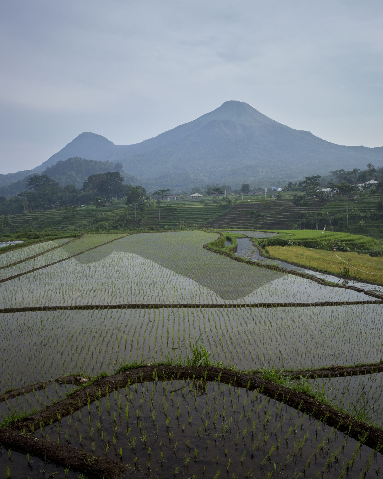 Canon EOS 700D (EOS Rebel T5i / EOS Kiss X7i) sample photo. Mount, field, view photography