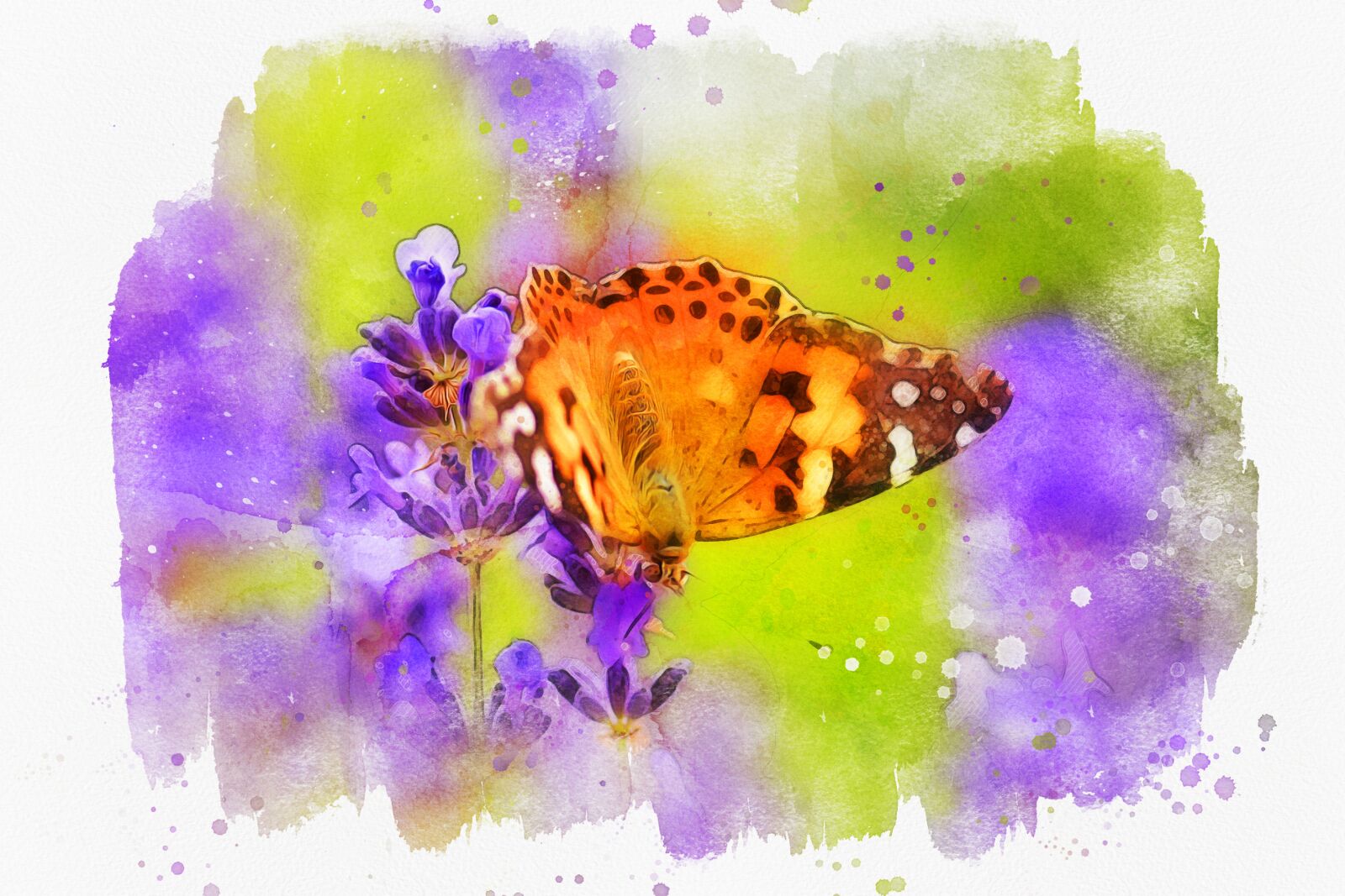 Nikon D5500 sample photo. Butterfly, lavender, flower photography