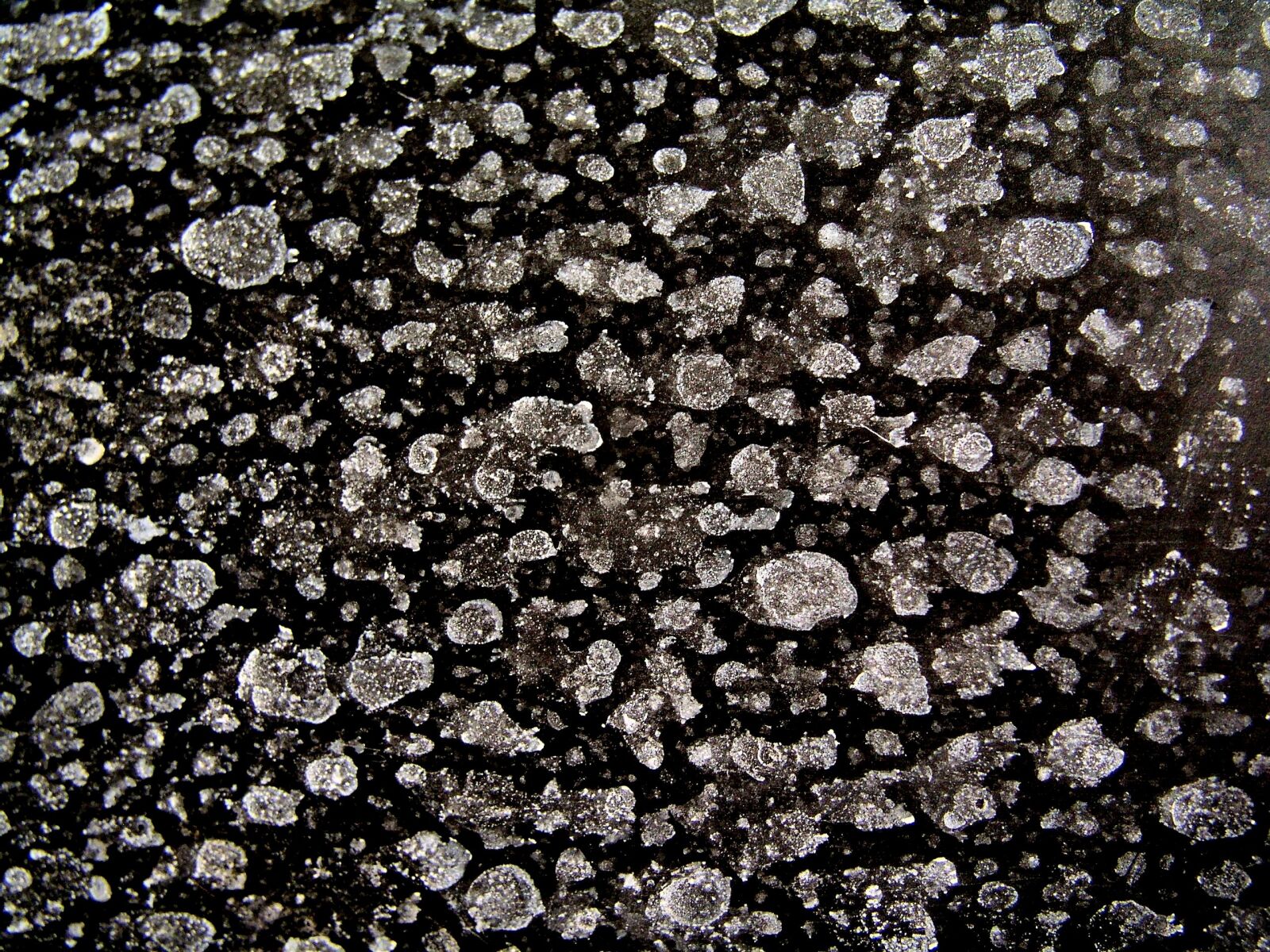 Olympus C5050Z sample photo. Texture, stone, marble photography