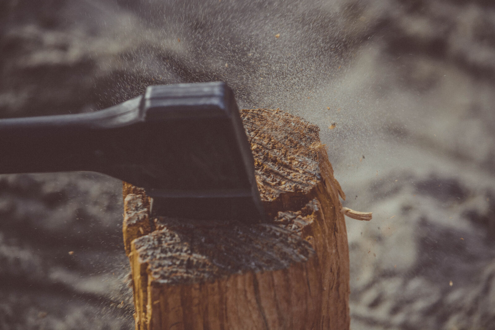 Nikon D5200 sample photo. Action, axe, blur, chop photography
