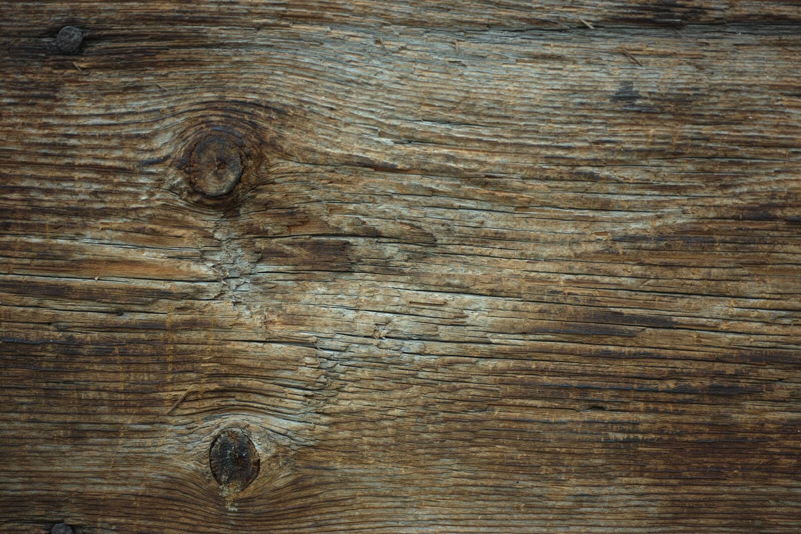 Sigma DP3 Merrill sample photo. Texture, wood, billet photography