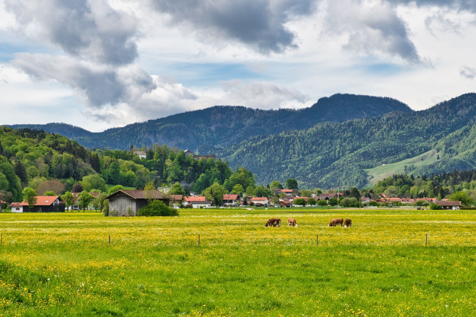 Nikon D7500 sample photo. Landscape, upper bavaria, chiemgau photography