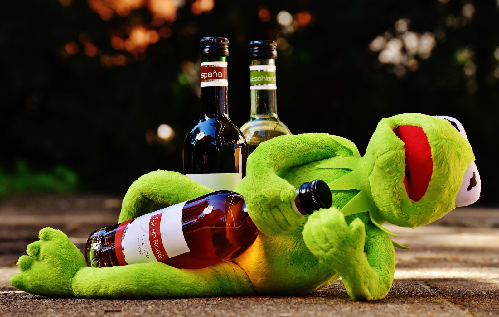 Nikon D7200 sample photo. Kermit, frog, wine photography
