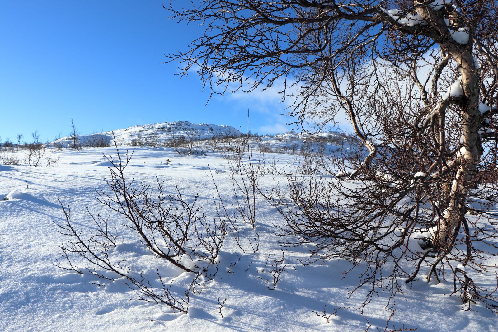 Canon EOS 77D (EOS 9000D / EOS 770D) sample photo. Norway, snow, winter landscape photography