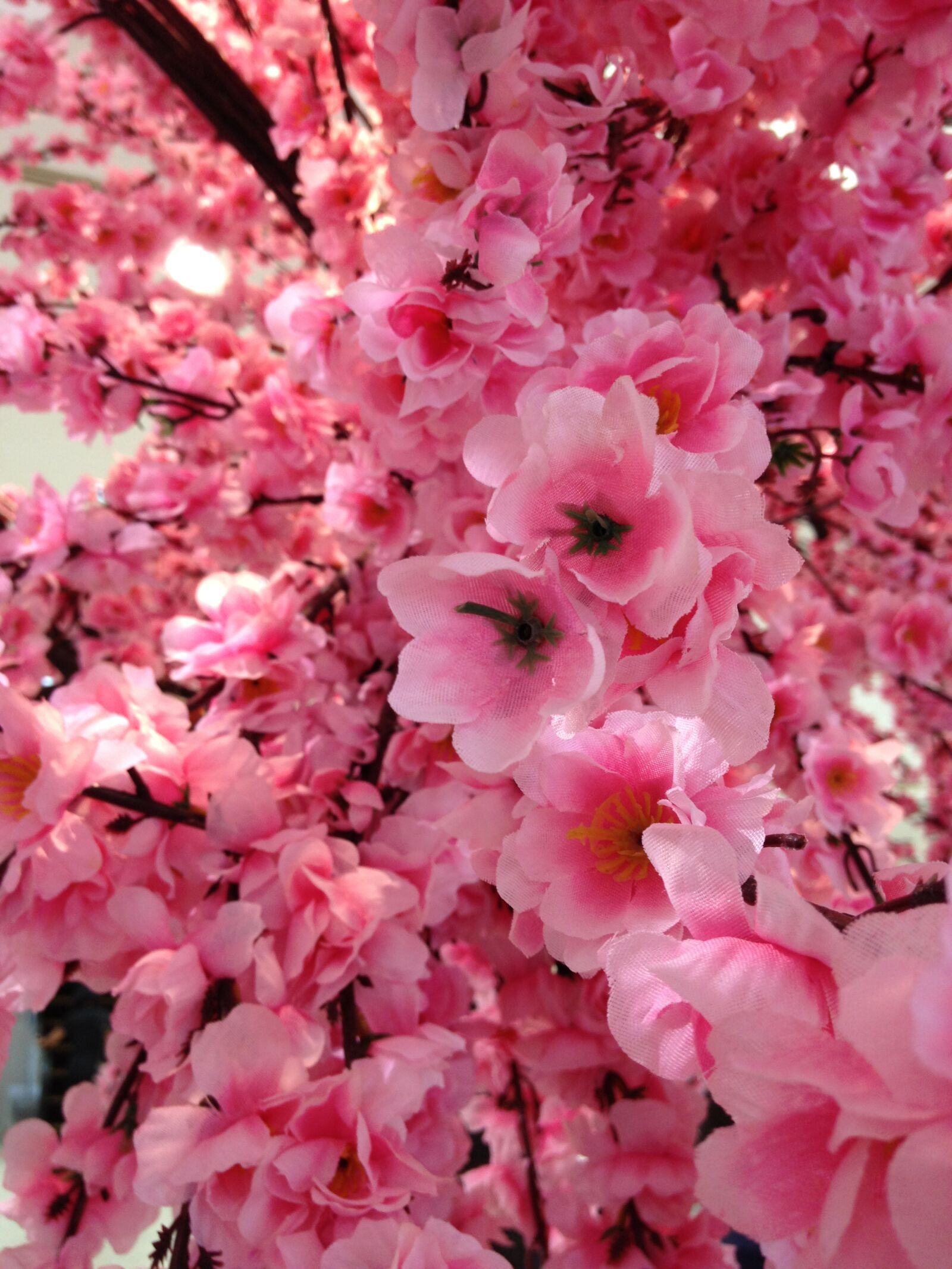 Apple iPhone 4S sample photo. Pink, flowers, plastic, sakura photography