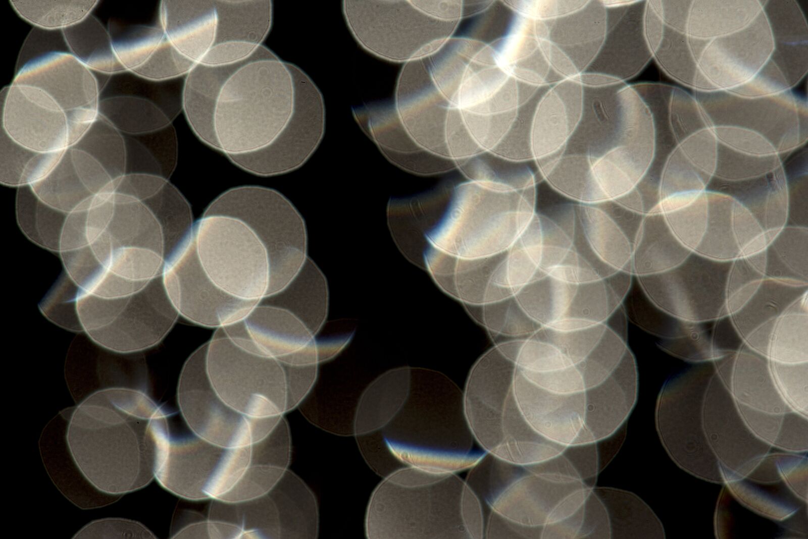 Nikon D800 sample photo. Abstraction, drops of rain photography