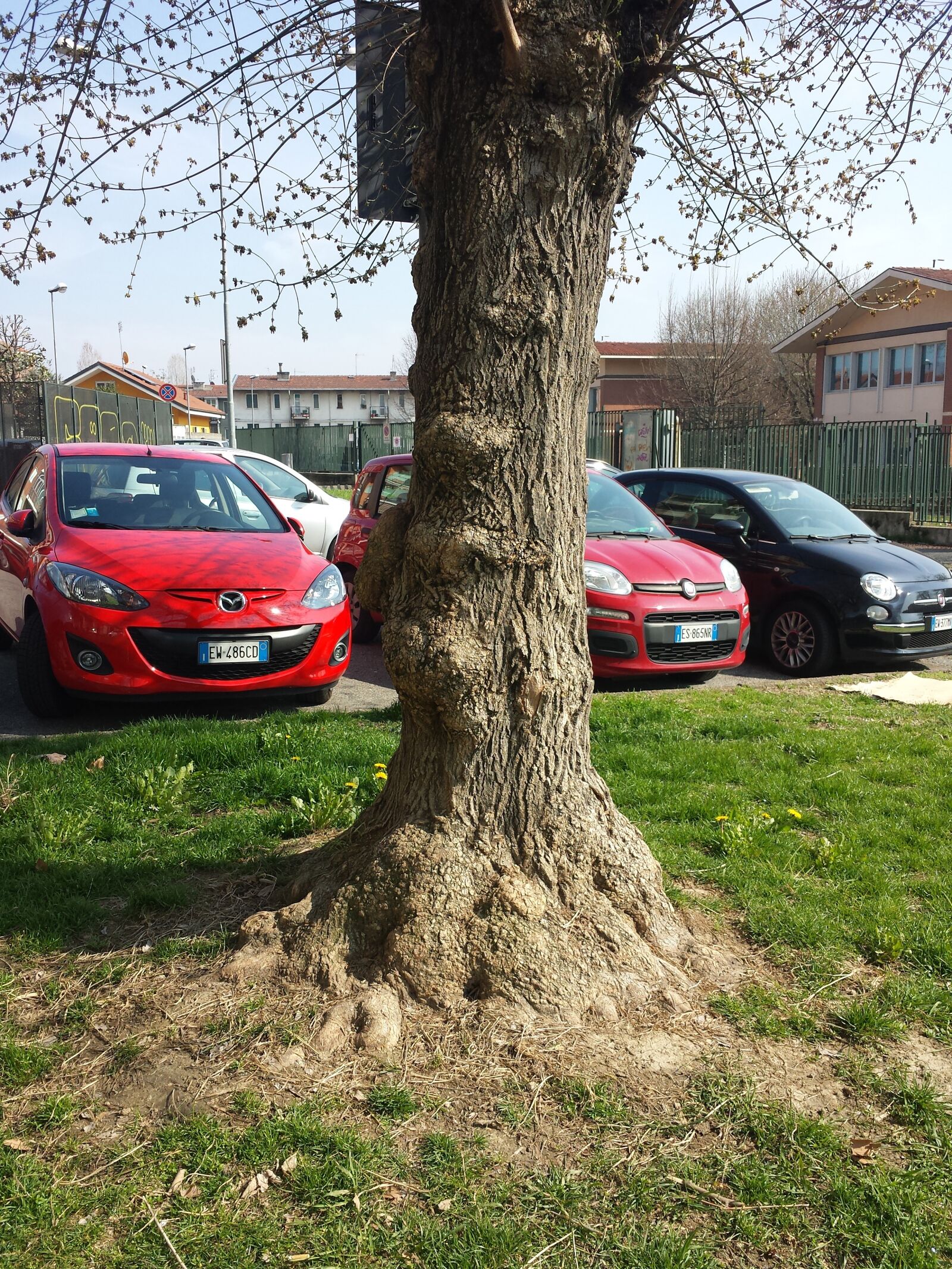 Samsung Galaxy S4 sample photo. Child, tree, green photography