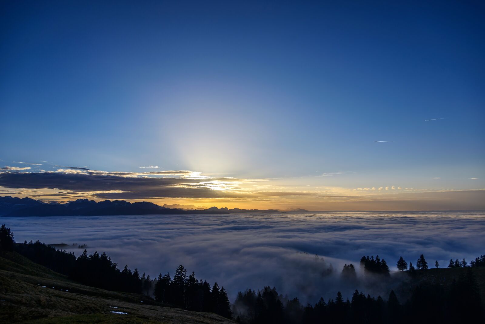Nikon D800 sample photo. Autumn, fog, nature photography