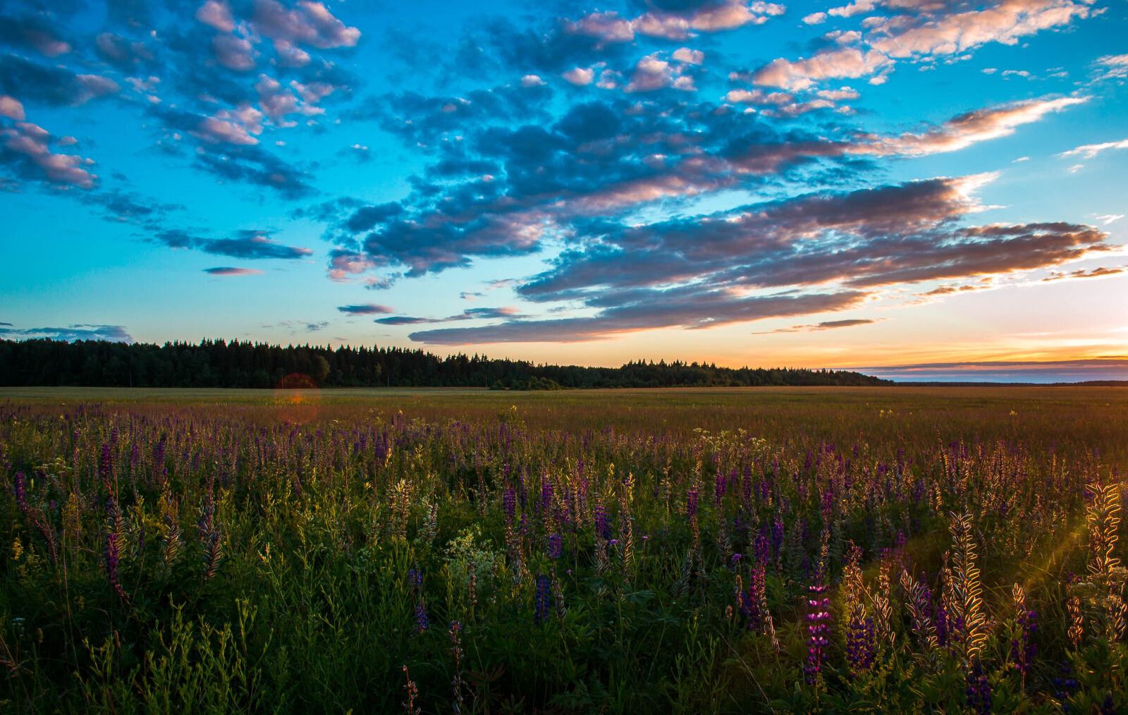 Nikon D3100 sample photo. Green, meadows, near, mountain photography