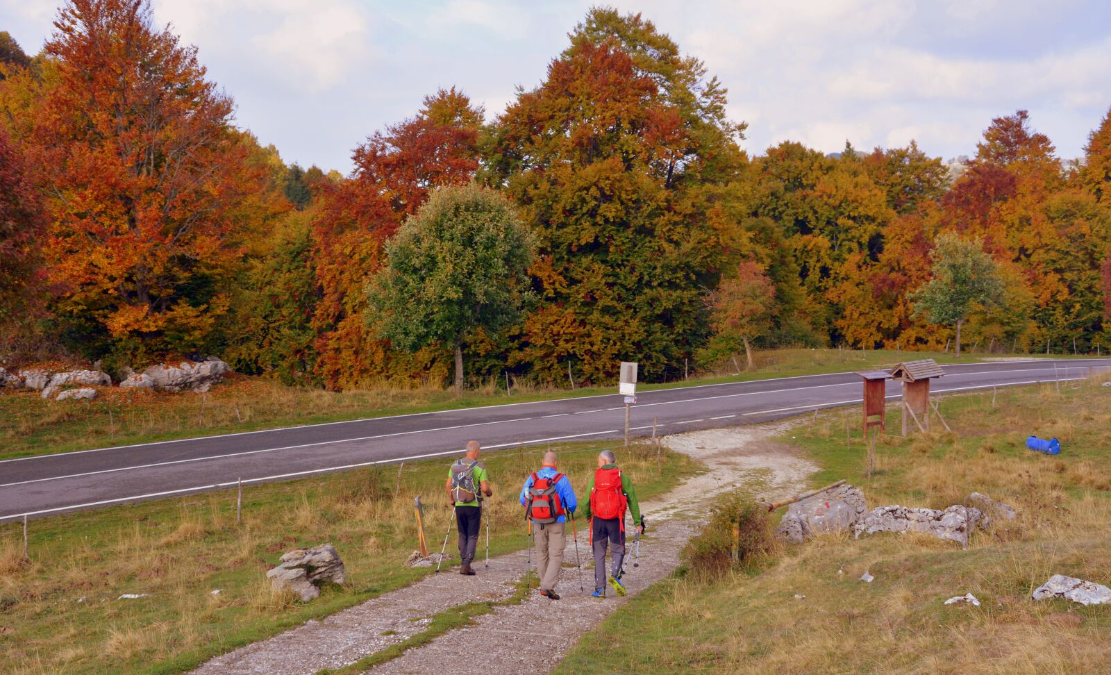 Nikon D7100 sample photo. Excursion, trail, walking with photography
