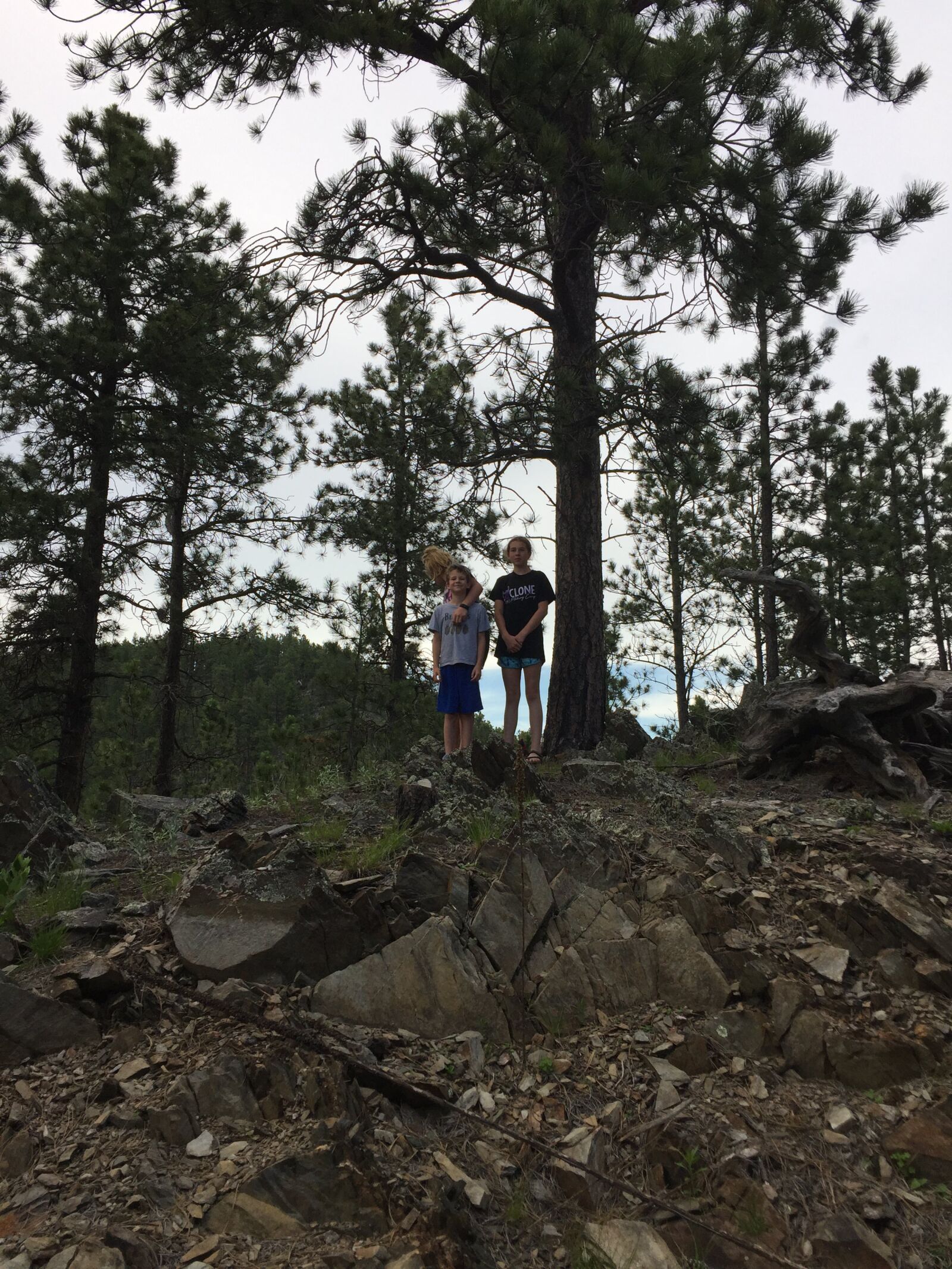 Apple iPhone 6 sample photo. Black hills, mountains, landscape photography