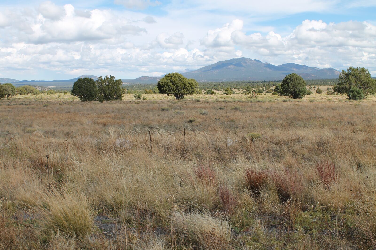 Canon EOS 1100D (EOS Rebel T3 / EOS Kiss X50) sample photo. Arizona, landscape, mountain photography