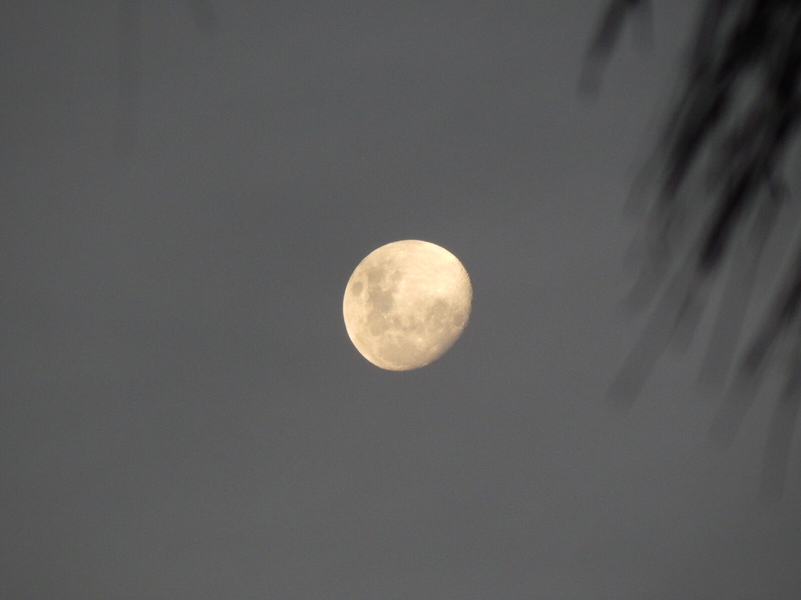 Nikon Coolpix L820 sample photo. Moon, sky, night sky photography