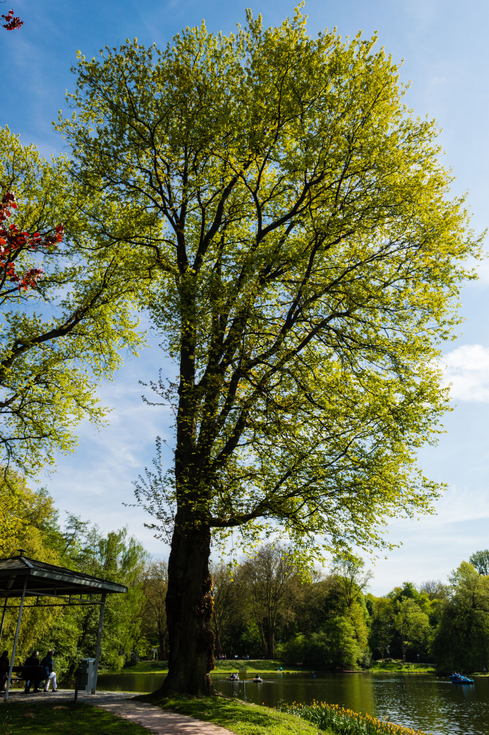 Nikon D3200 sample photo