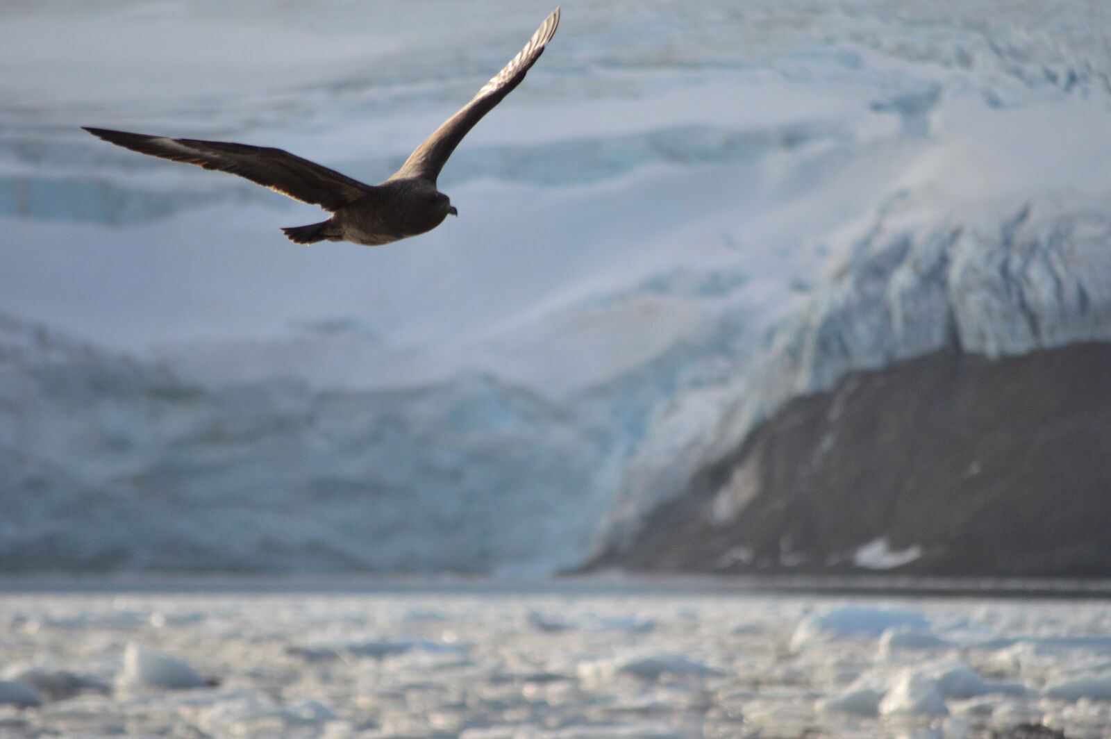 Nikon D3200 sample photo. Landscape, antarctica, antarctic photography
