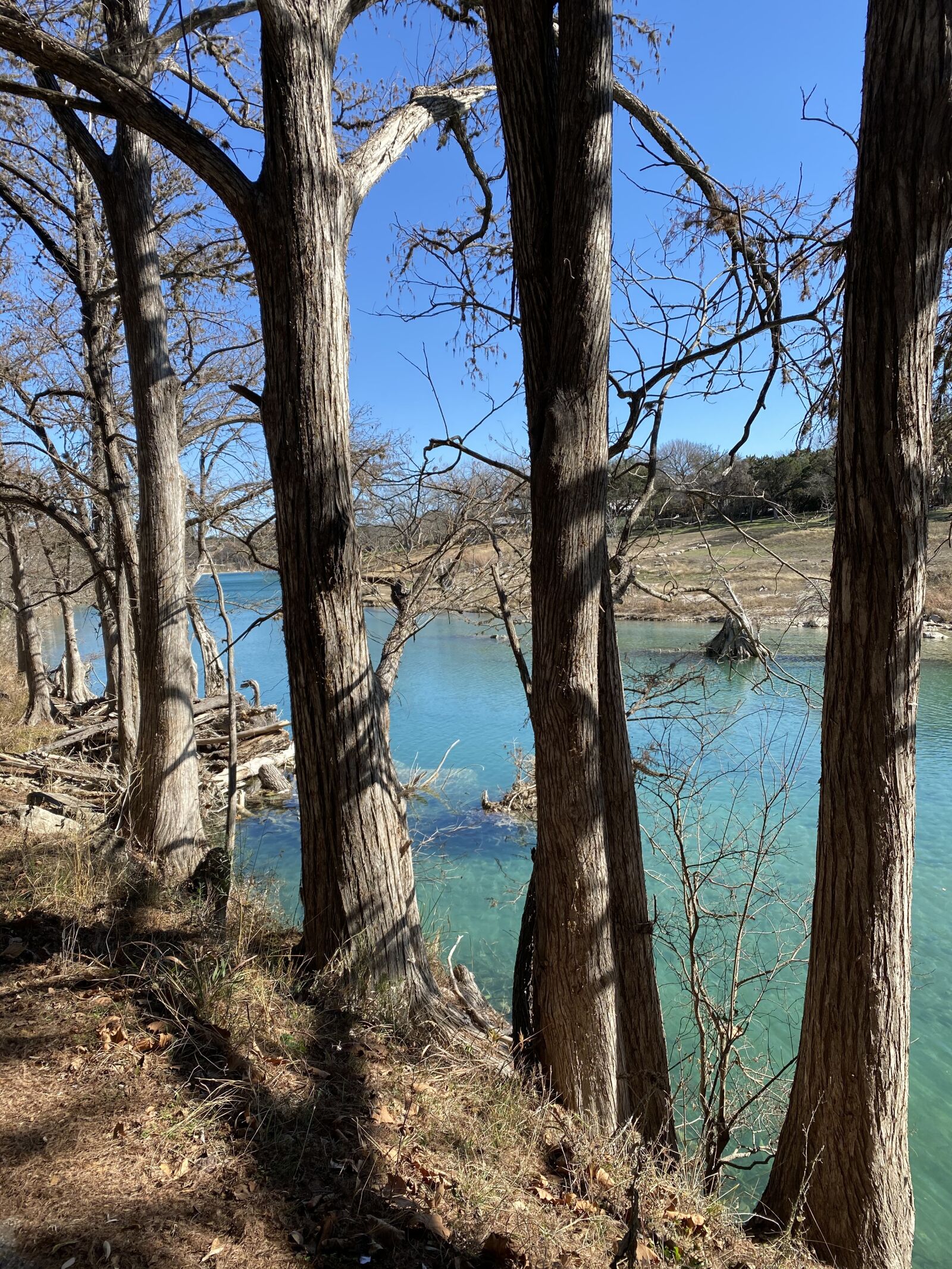 iPhone 11 Pro Max back triple camera 4.25mm f/1.8 sample photo. Blanco river, texas, river photography