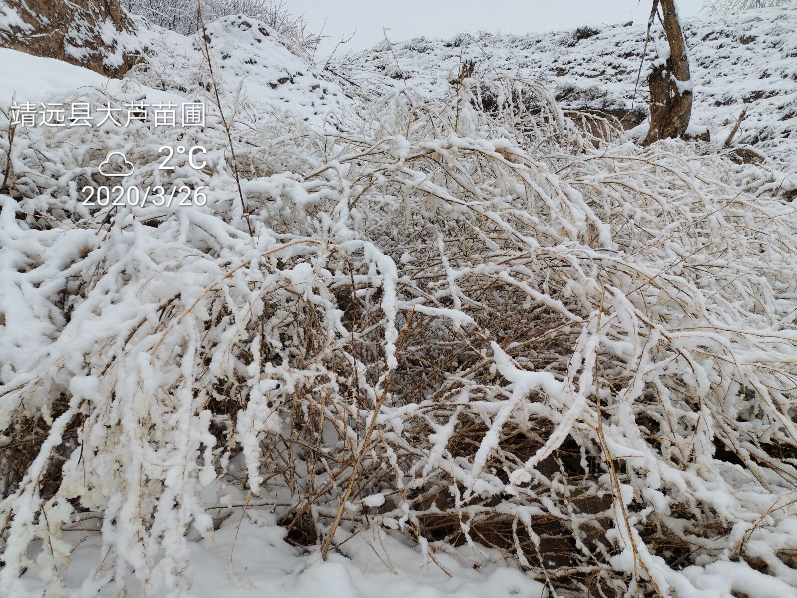 HUAWEI HLK-AL00 sample photo. Lemon bar, snow, rural photography