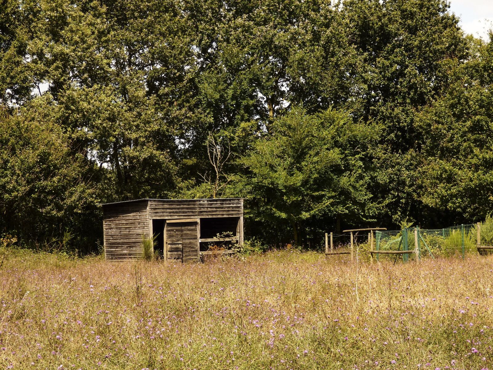 Panasonic DMC-FZ72 sample photo. Field, cabin, france photography