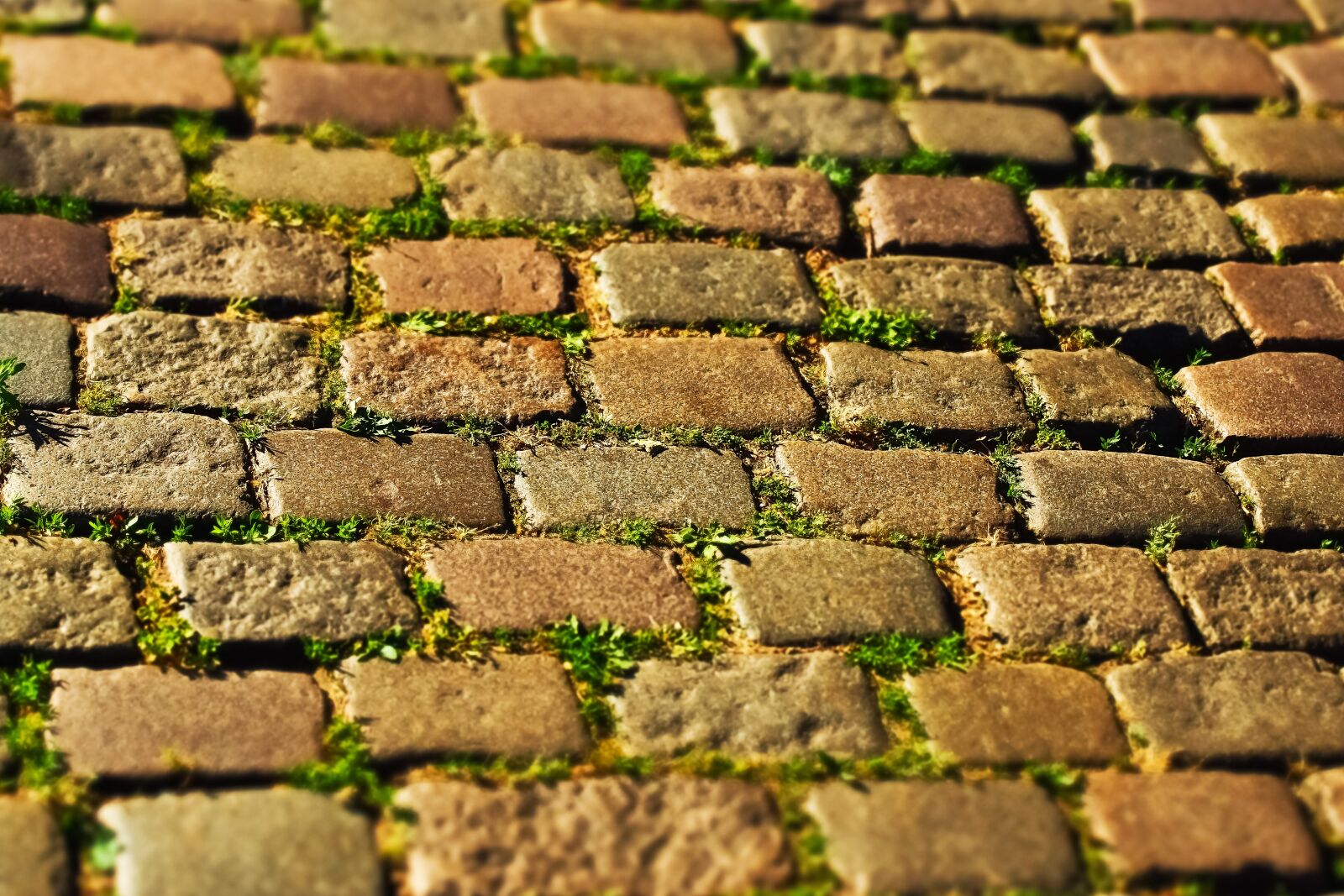 Olympus OM-D E-M10 sample photo. Cobblestone, patch, road photography