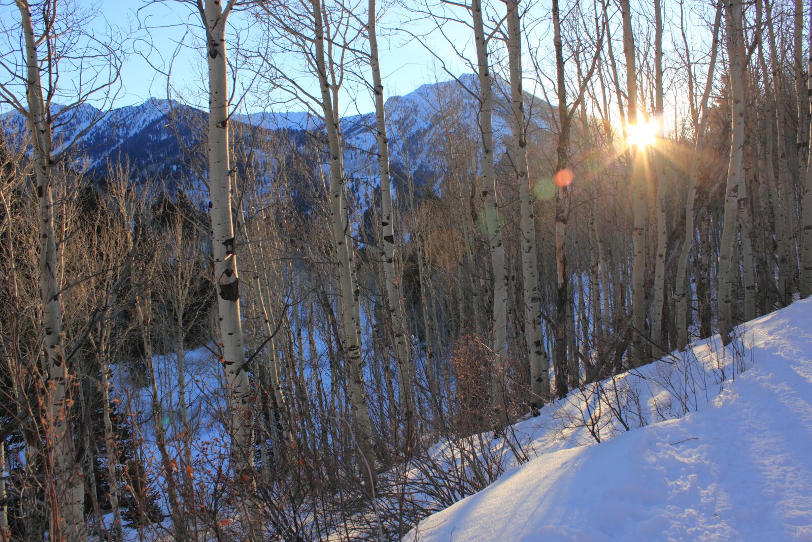 Canon EOS 500D (EOS Rebel T1i / EOS Kiss X3) sample photo. Big cottonwood canyon, utah photography