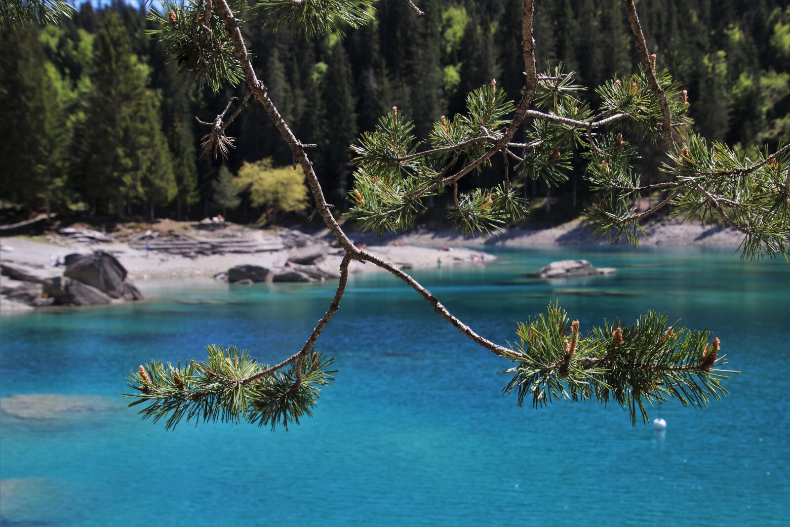 Canon EOS 80D sample photo. Blue, alpine lake, water photography