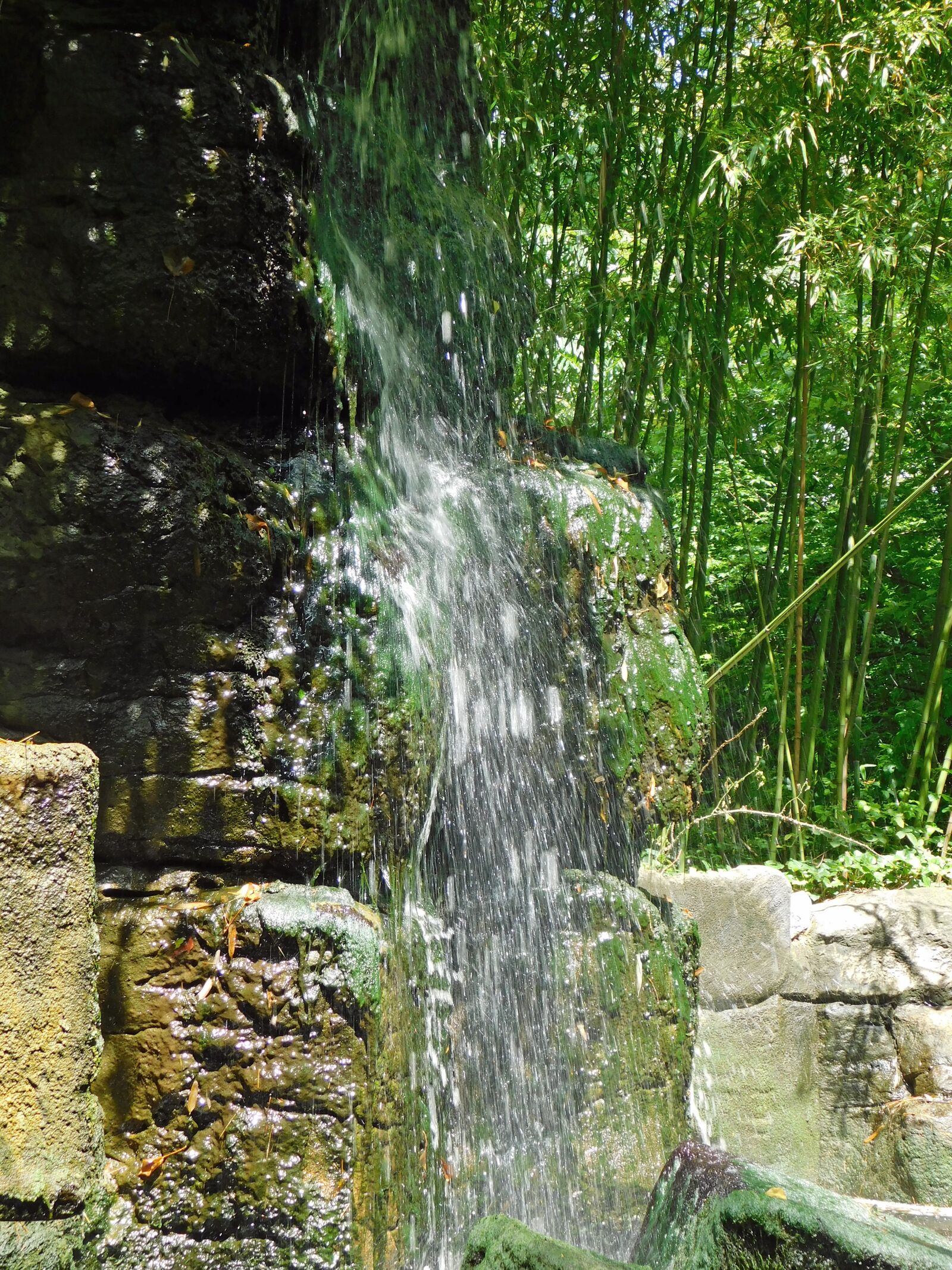 Nikon Coolpix B500 sample photo. Waterfall, netherlands, nature photography