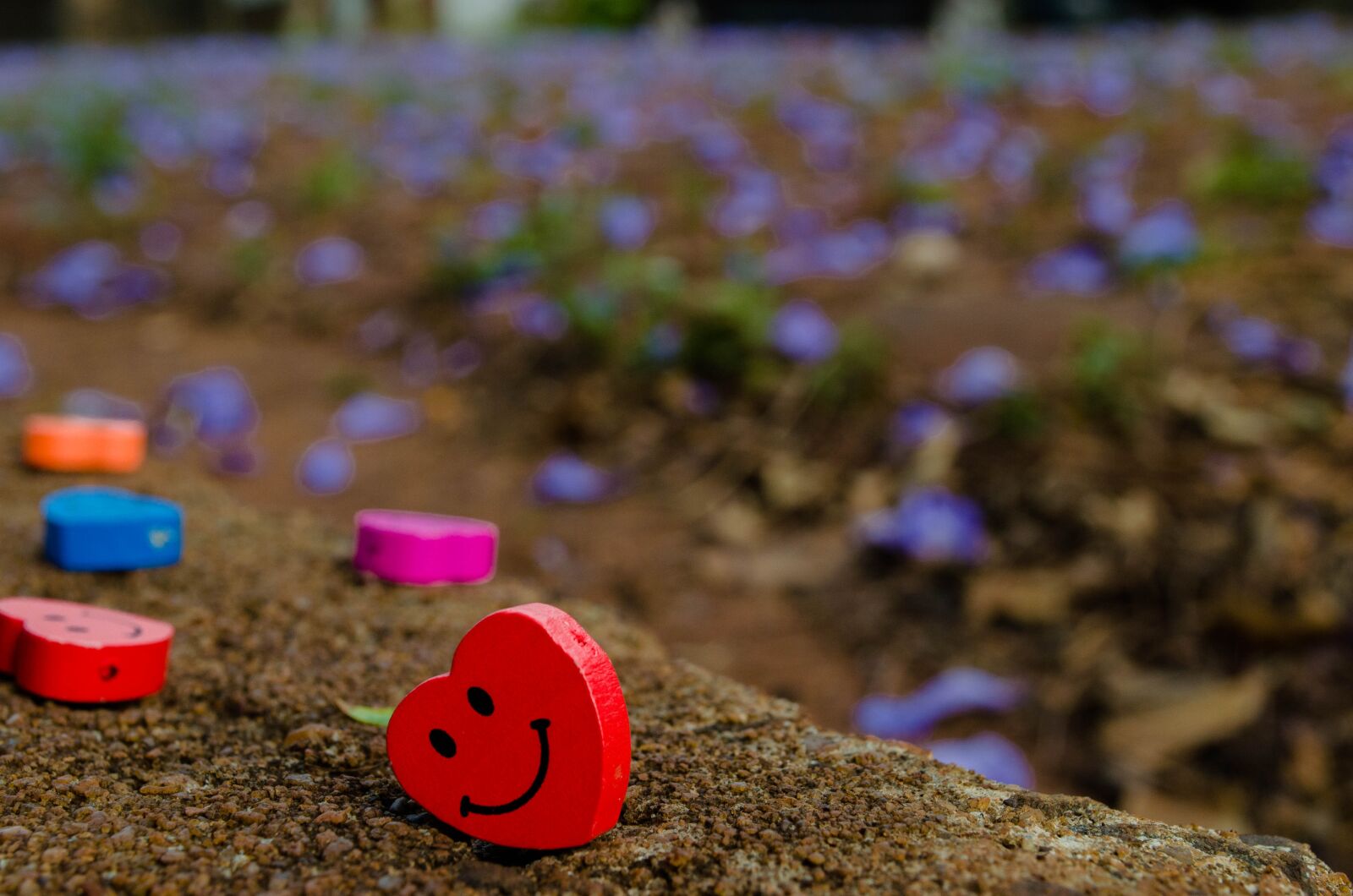 Nikon D5100 sample photo. Hearts, smile, soil photography