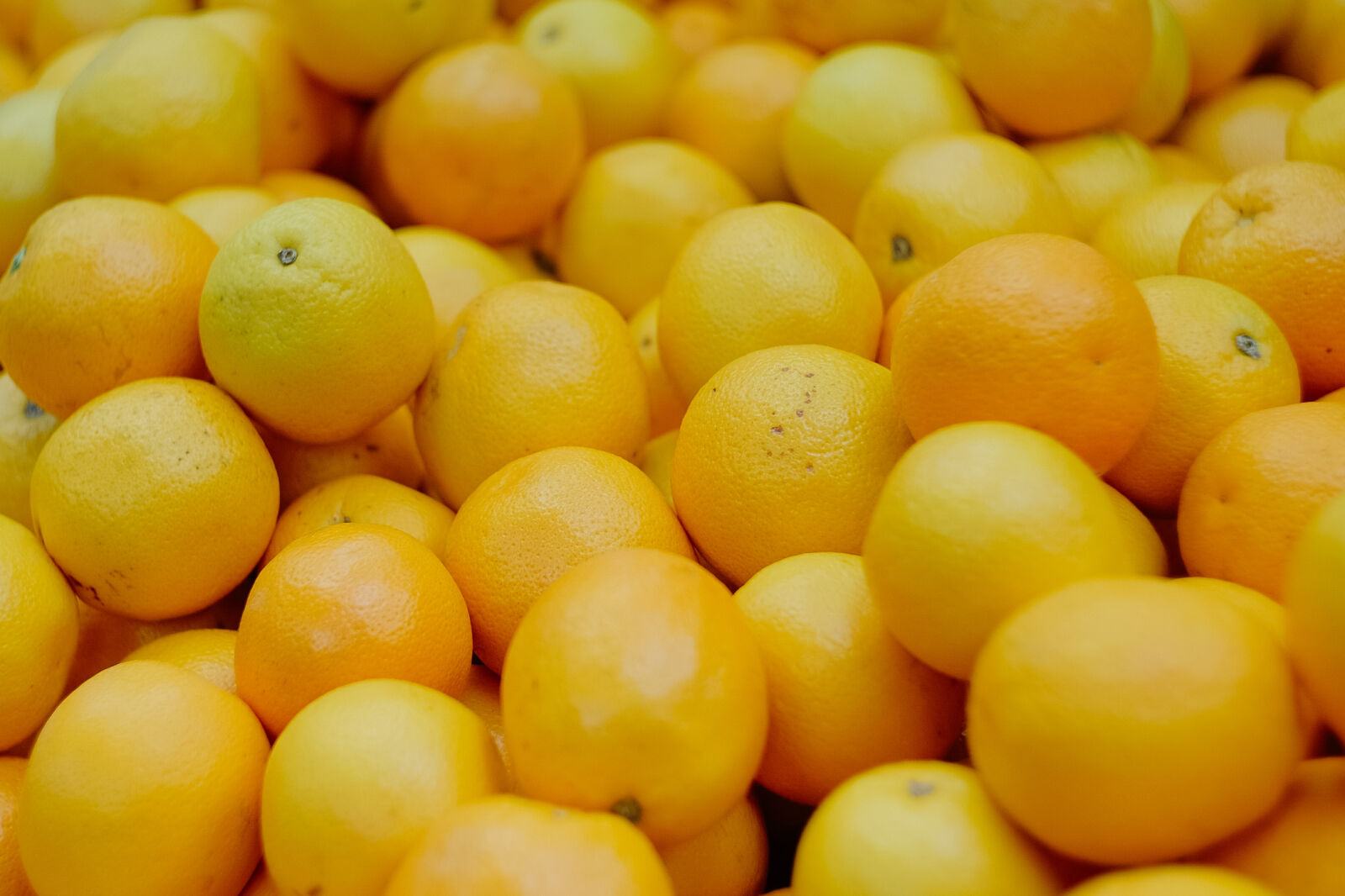 Fujifilm X-T1 sample photo. Fruit, orange photography