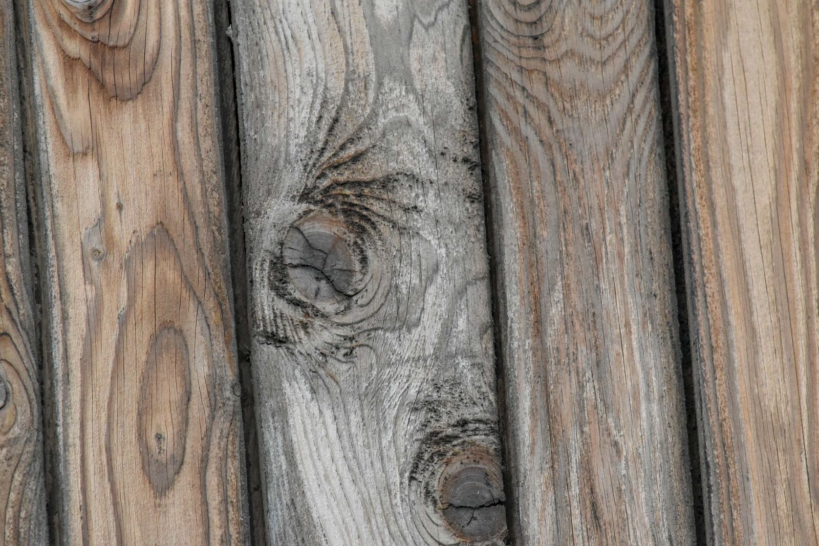 Nikon D5500 sample photo. Hardwood, oak, old, texture photography