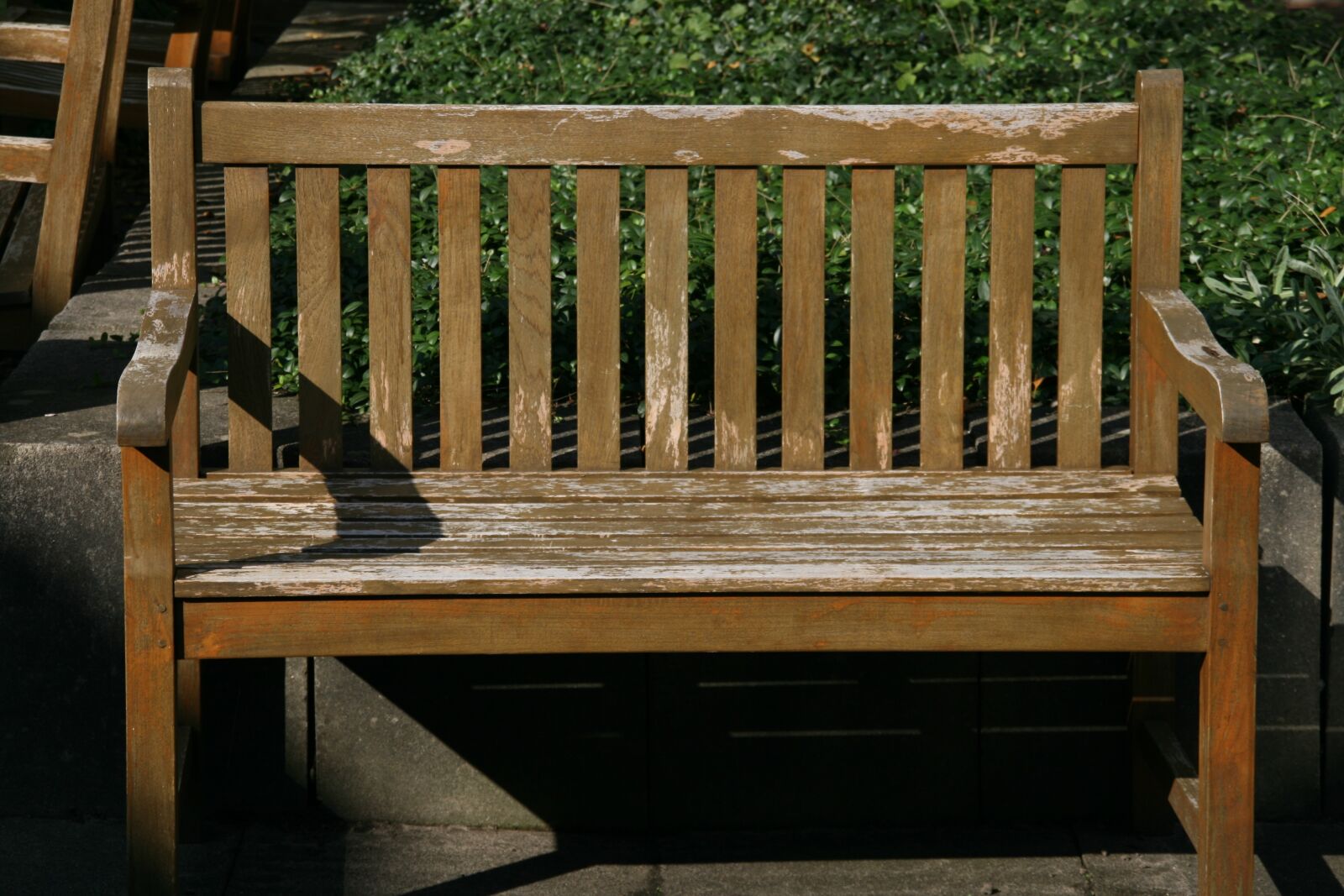 Canon EOS 400D (EOS Digital Rebel XTi / EOS Kiss Digital X) sample photo. Wooden bench, bank, bench photography