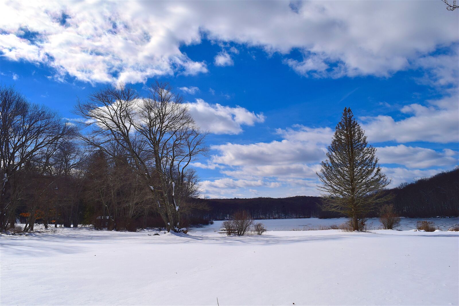 Nikon D3300 sample photo. Snow, trees, sky photography